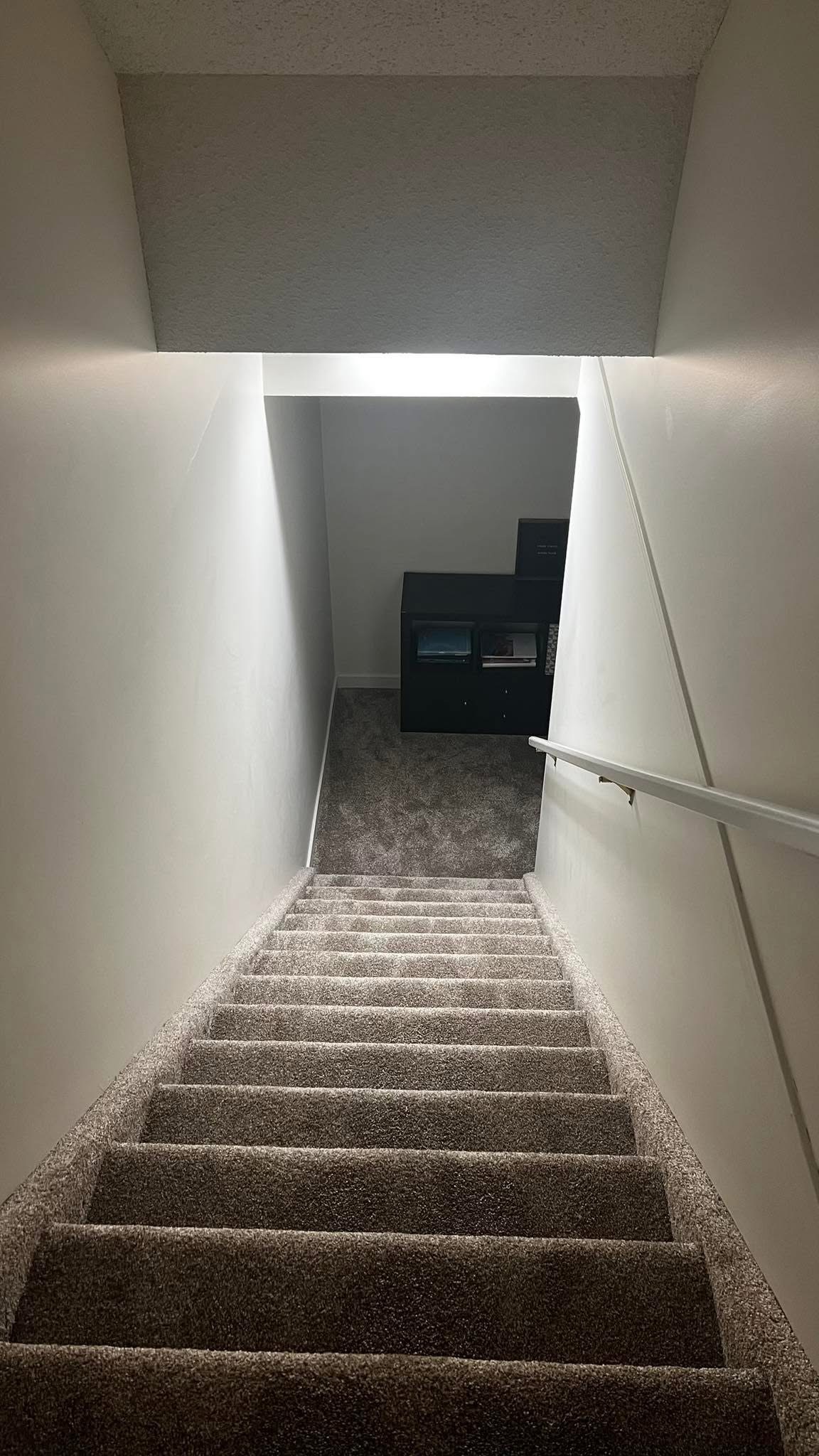 Zebrano Flooring Installation 3