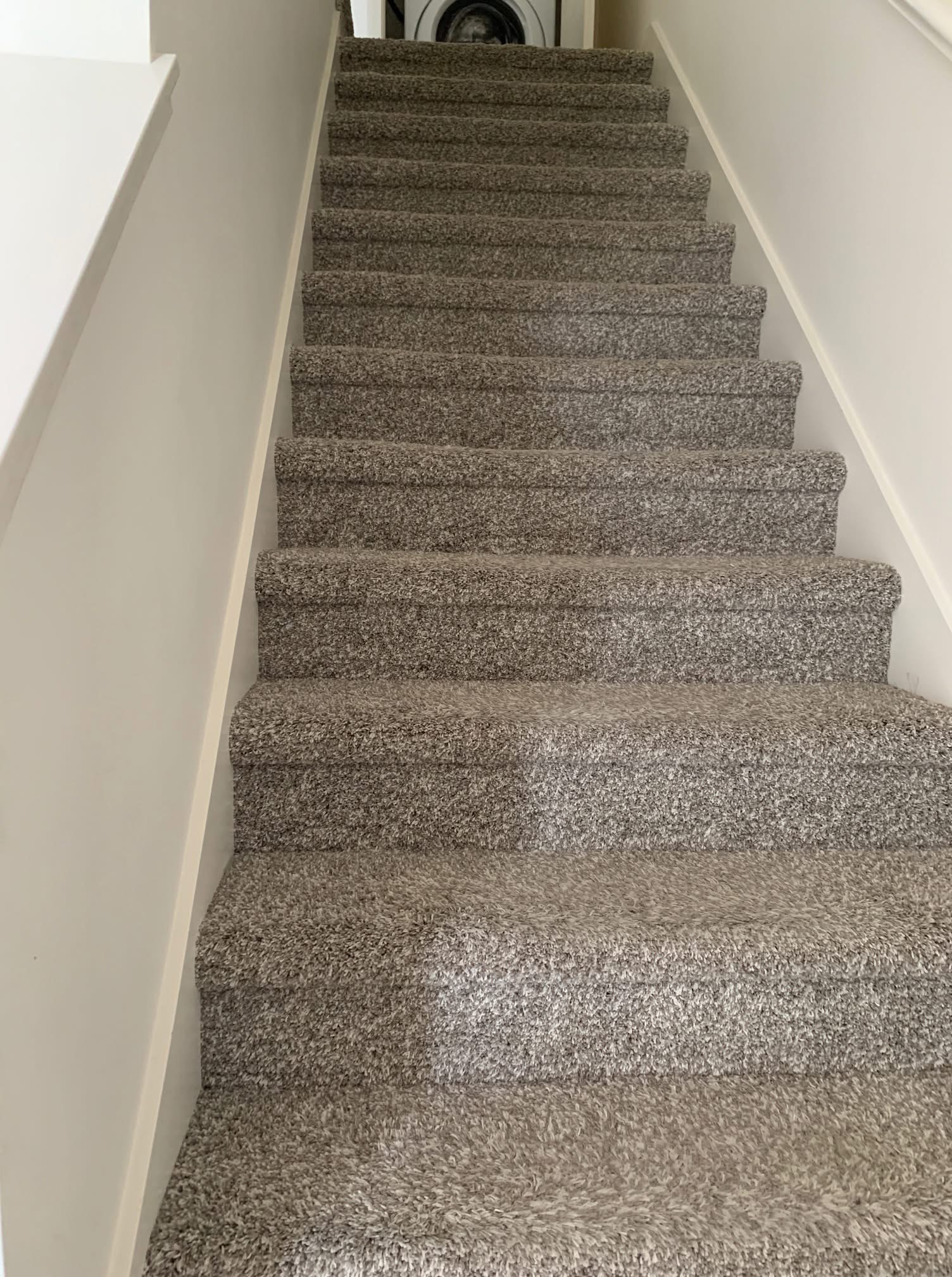 Zebrano Flooring Installation 7