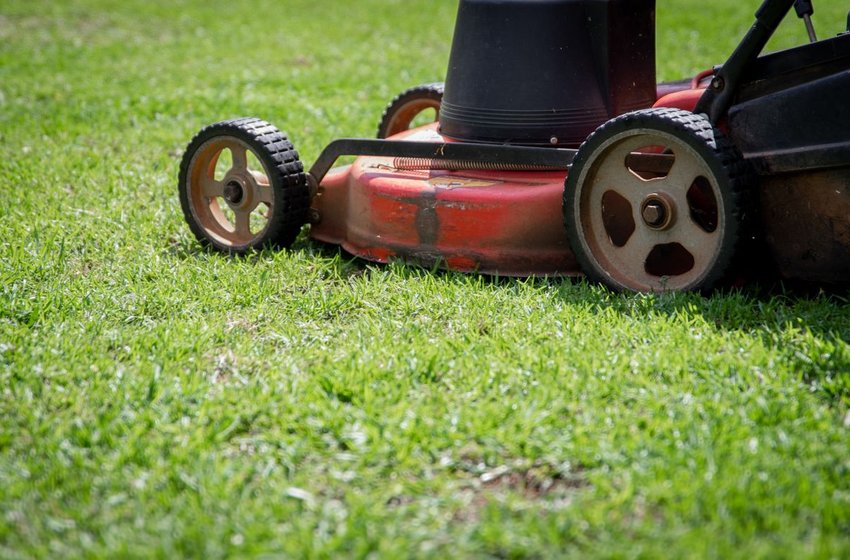 Professional landscaping and landscape maintenance services